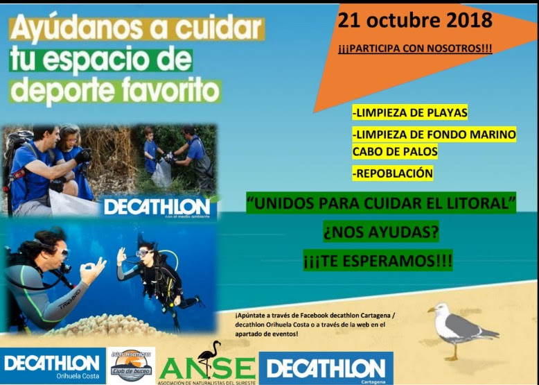 Limpieza de playa y fondo marino, con Decathlon