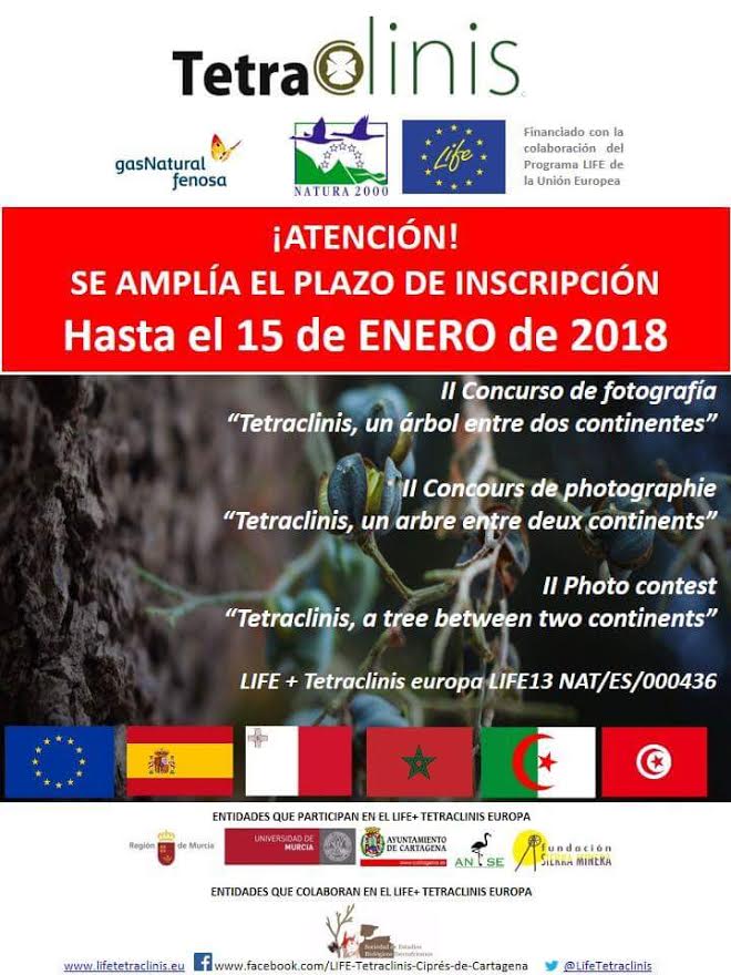 ll concurso de fotos sobre el ciprés de Cartagena, con el LIFE Tetraclinis