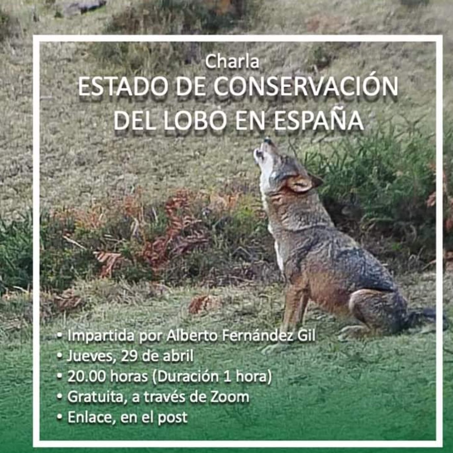Charla sobre conservación del lobo en España, con la Fundación Oso de Asturias