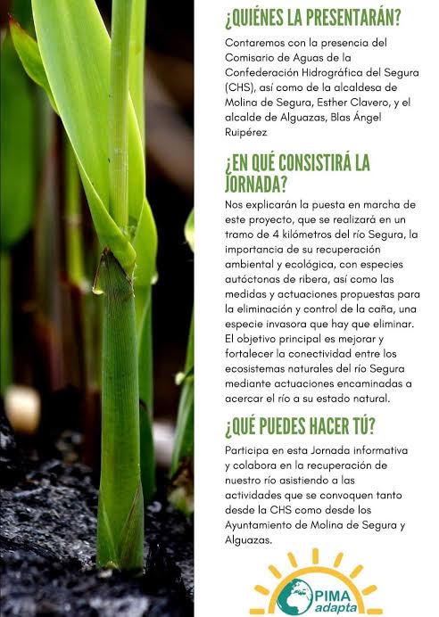 Proyecto de Mejora del Segura en Molina y Alguazas, con la CHS