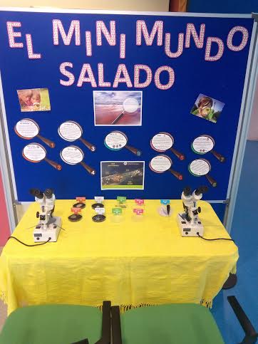 'El Mini Mundo Salado', todos los días de febrero en el Centro de Visitantes Las Salinas, de San Pedro del Pinatar. 