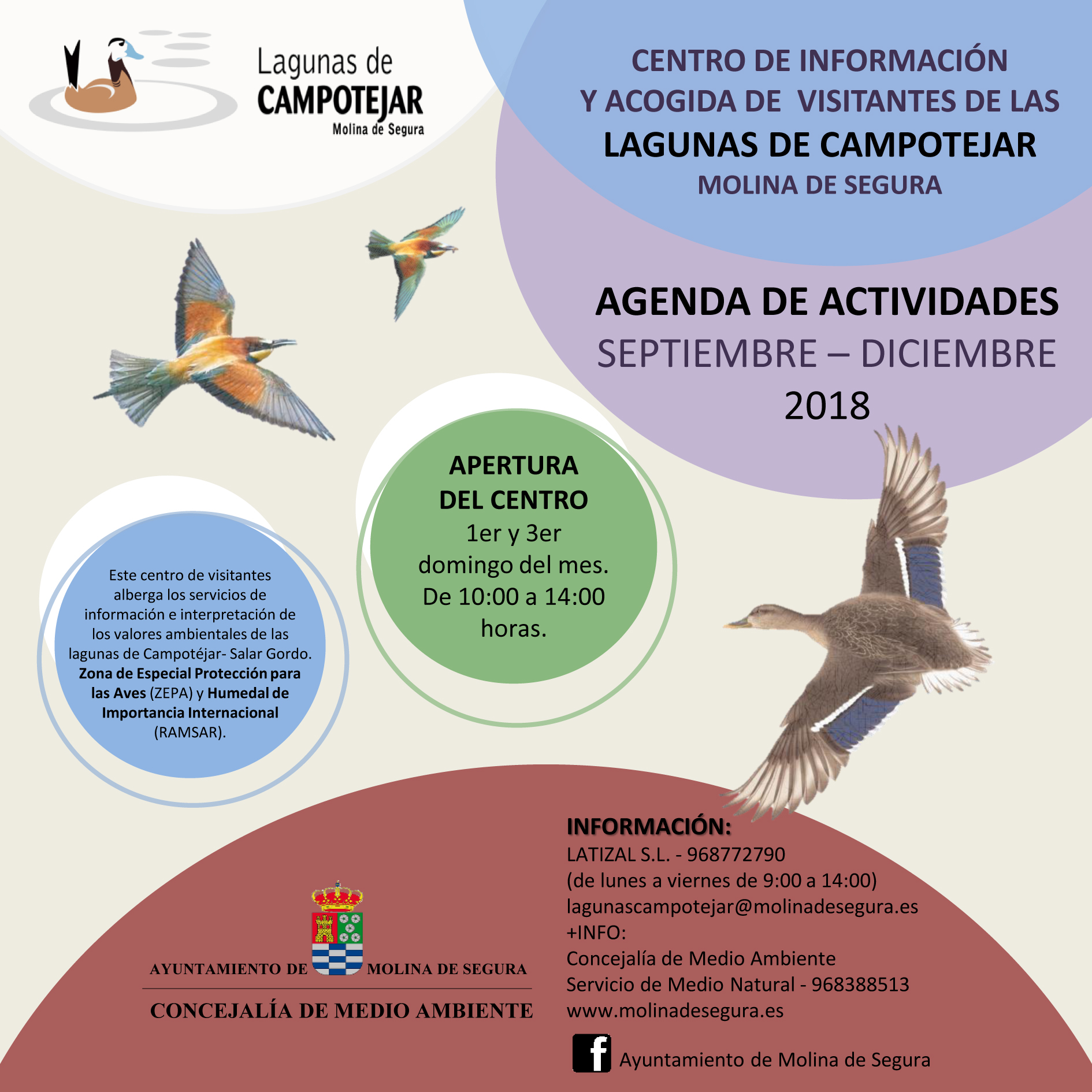 Datos de contacto de las Lagunas de Campotéjar, con el Ayto. de Molina de Segura