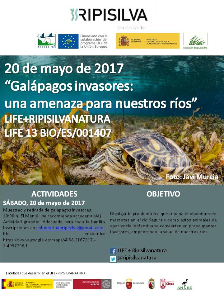 Muestreo y Retirada de Galápagos exóticos, con el LIFE Ripisilva