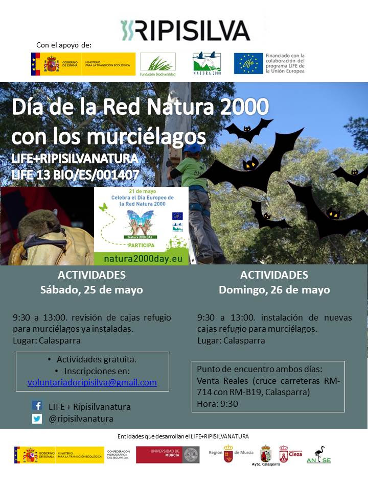 Día de la Red Natura 2000 con los murciélagos, con Ripisilvanatura
