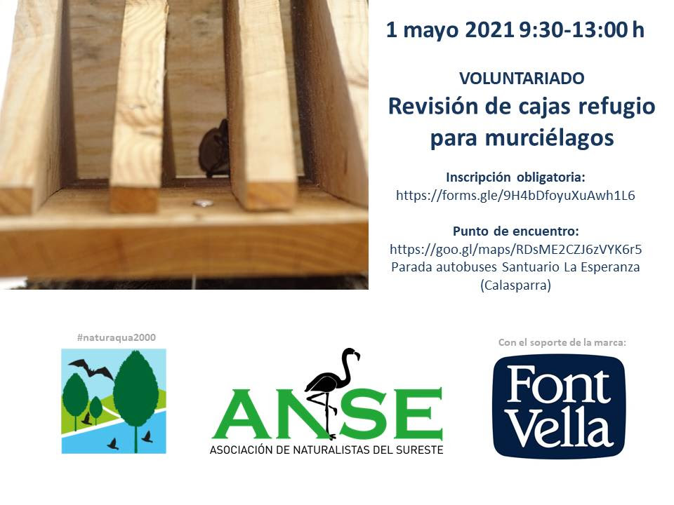 Revisión de cajas refugio de murciélago, con ANSE. Revisión de cajas refugio de murciélago, con ANSE