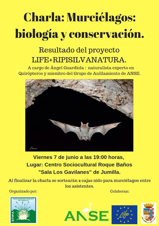 Charla 'Murciélagos: biología y conservación', con Stipa