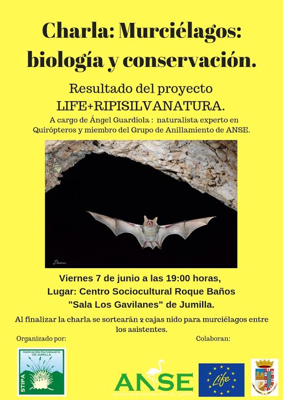 Charla 'Murciélagos: biología y conservación', con Stipa. Charla 'Murciélagos: biología y conservación', con Stipa
