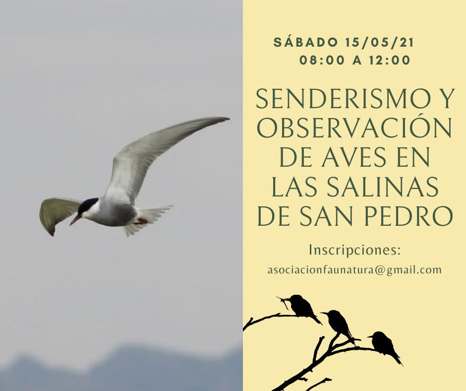 Senderismo y  observación de aves, con Faunatura