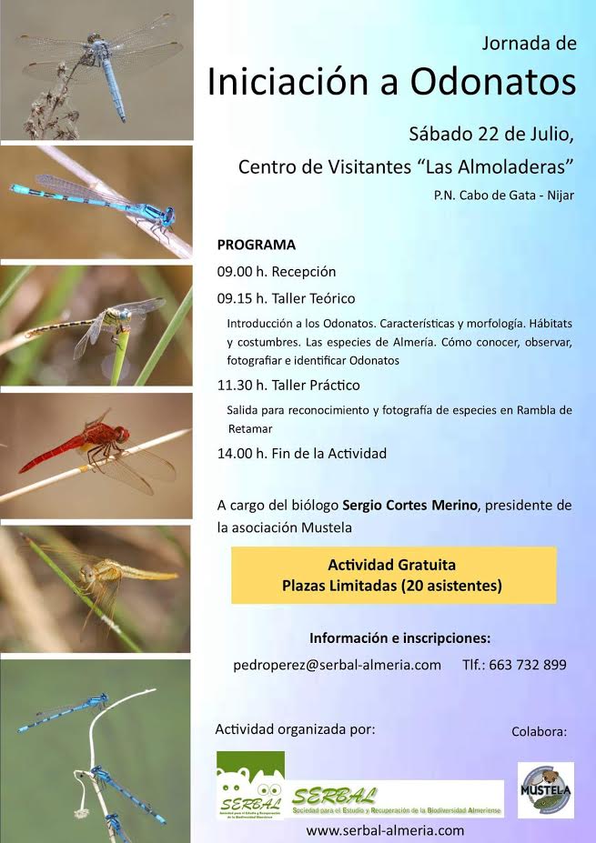 Iniciación a Odonatos, con Serbal Almería. Iniciación a Odonatos, con Serbal Almería