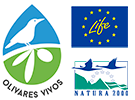 Logo de Olivares Vivos. Logo de Olivares Vivos