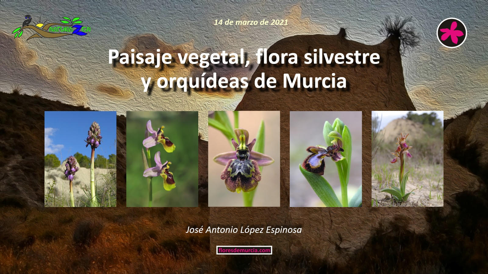 Paisaje vegetal, flora silvestre y orquídeas de Murcia, con 
