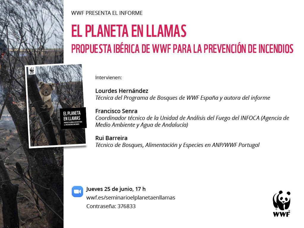 Webinar sobre los incendios en España, con WWF