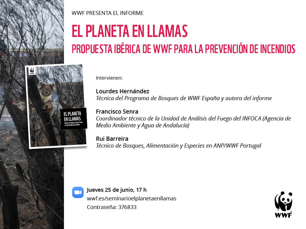 Webinar sobre los incendios en España, con WWF. Webinar sobre los incendios en España, con WWF