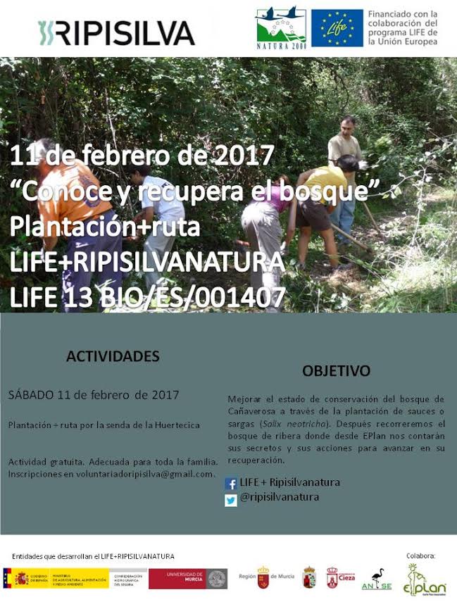 Plantación + ruta en Cañaverosa, con el LIFE Ripisilva
