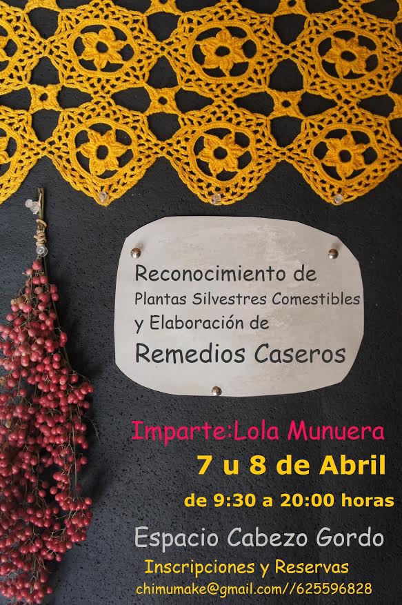 Plantas Silvestres Comestibles + Remedios Caseros, con LOLA MUNUERA. Plantas Silvestres Comestibles + Remedios Caseros, con LOLA MUNUERA