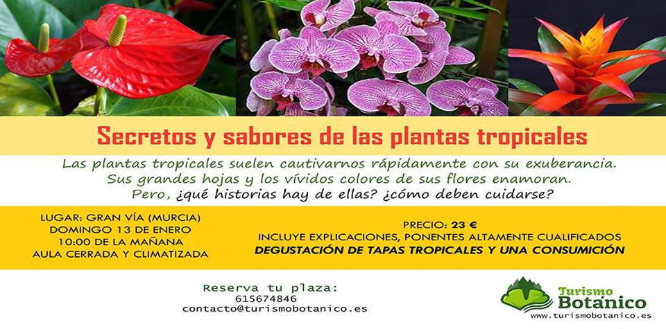 Secretos y sabores de las plantas tropicales, con Turismo Botánico. Secretos y sabores de las plantas tropicales, con Turismo Botánico