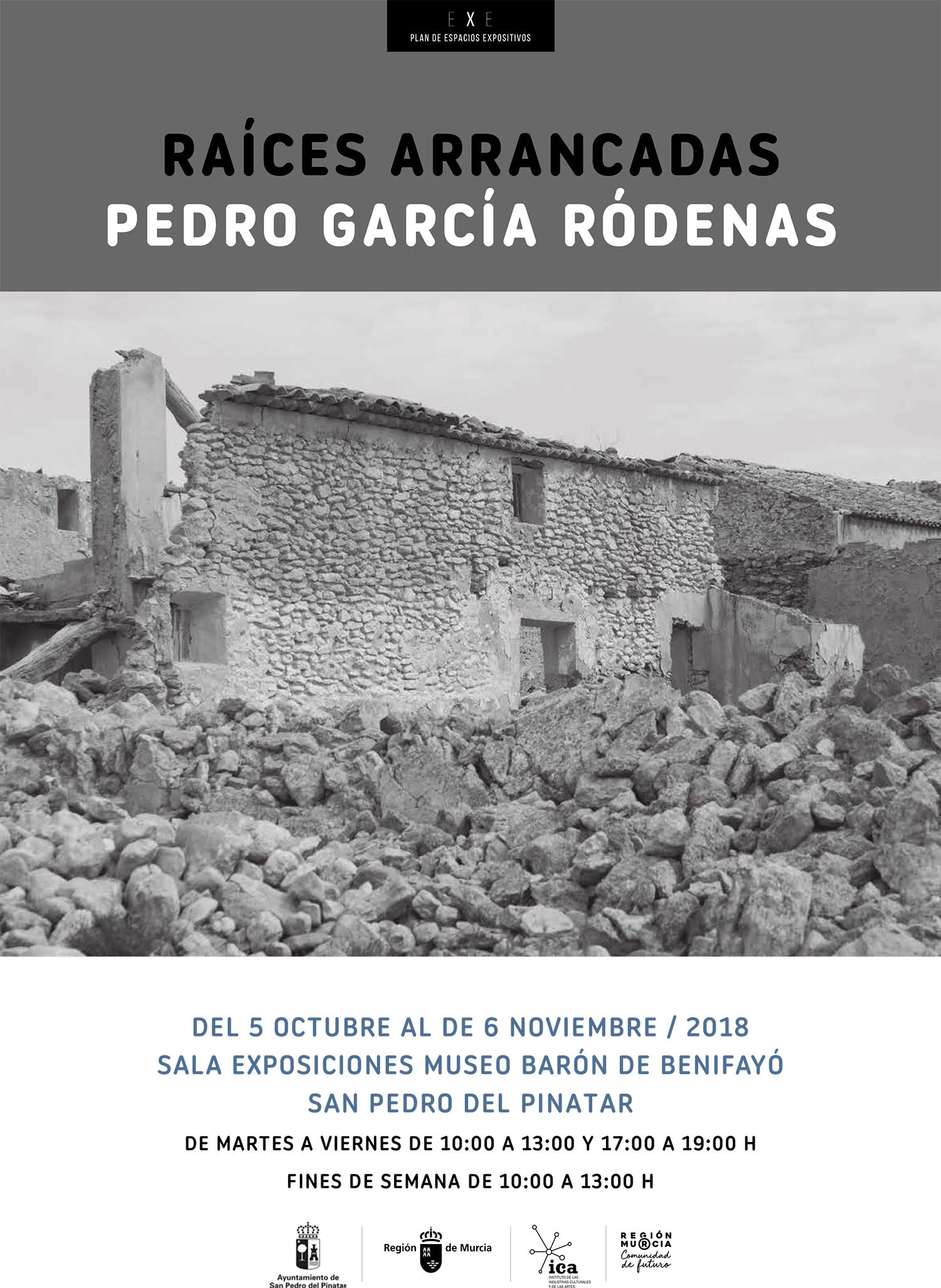 Exposición 'Raíces Arrancadas', de Pedro García Ródenas