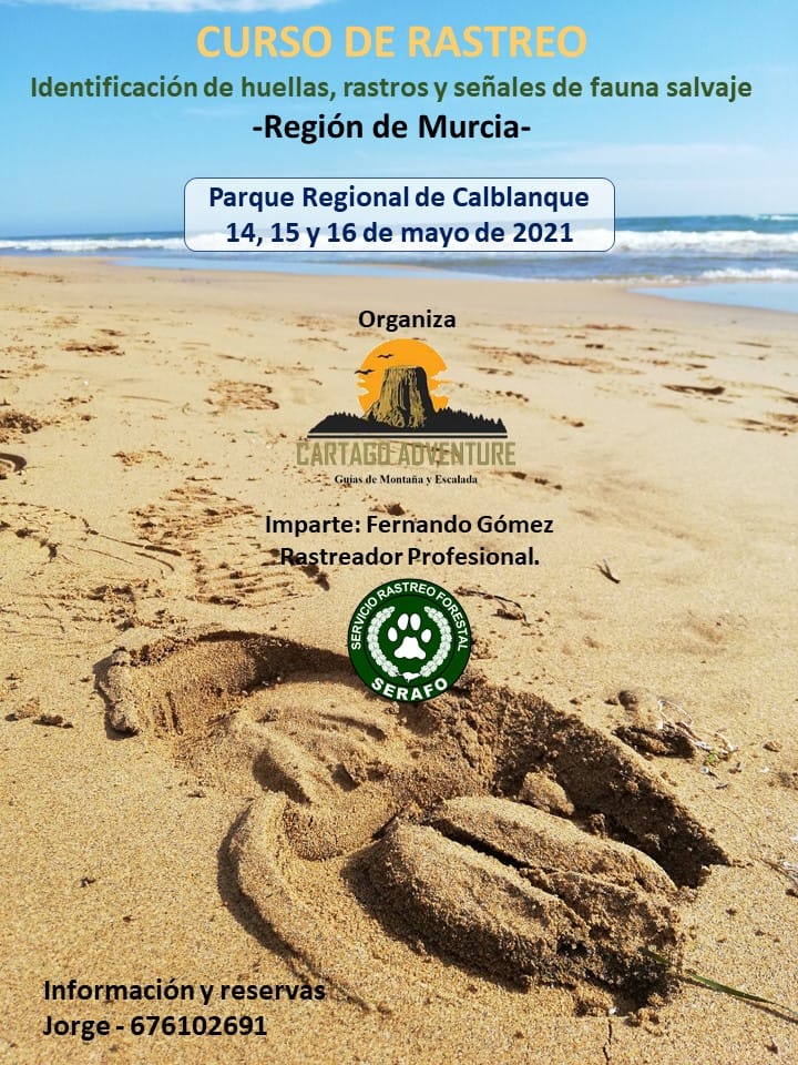 Curso de Rastreo en Calblanque, con Serafo