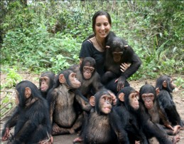 Charla sobre chimpancés del Instituto Jane Goodall, en La Casa Encendida