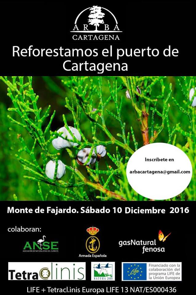 Reforestación en el Puerto de Cartagena , con ARBA Cartagena