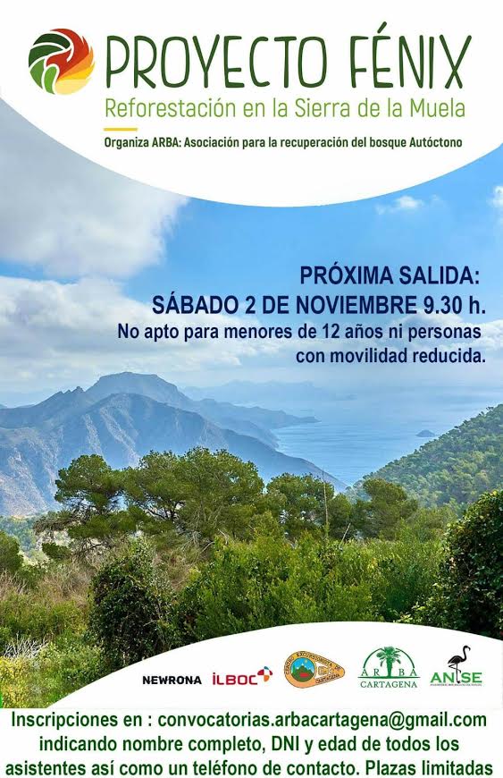 Reforestación en la Sierra de la Muela, con ARBA. Reforestación en la Sierra de la Muela, con ARBA