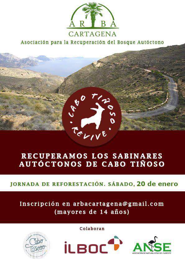 Recuperación de sabinares, con ARBA Cartagena. Recuperación de sabinares, con ARBA Cartagena
