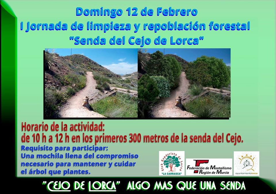 Limpieza y repoblación forestal, con La Carrasca