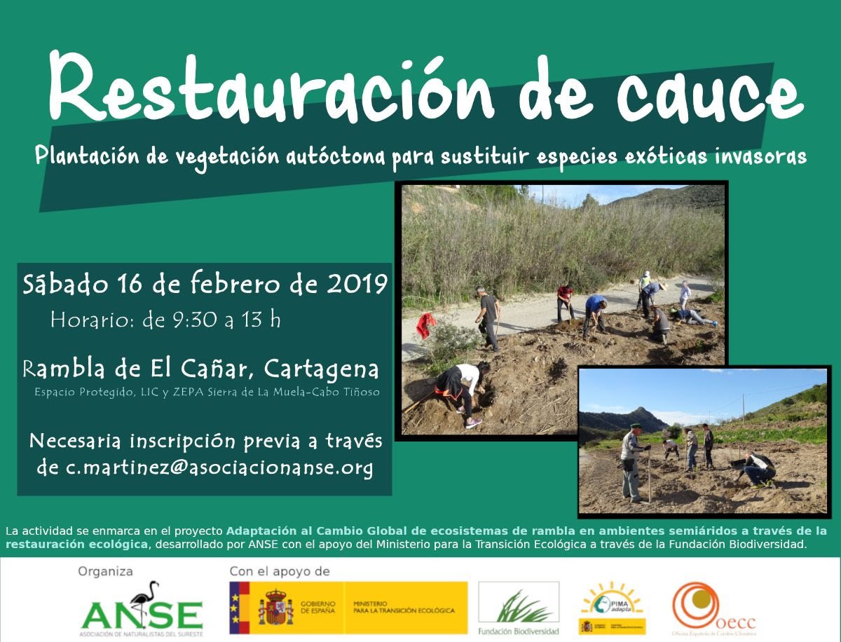 Restauración de cauce, con ANSE. Restauración de cauce, con ANSE