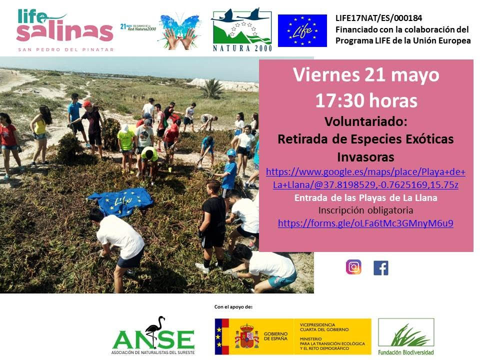 Retirada de especies exóticas invasoras, con ANSE. Retirada de especies exóticas invasoras, con ANSE