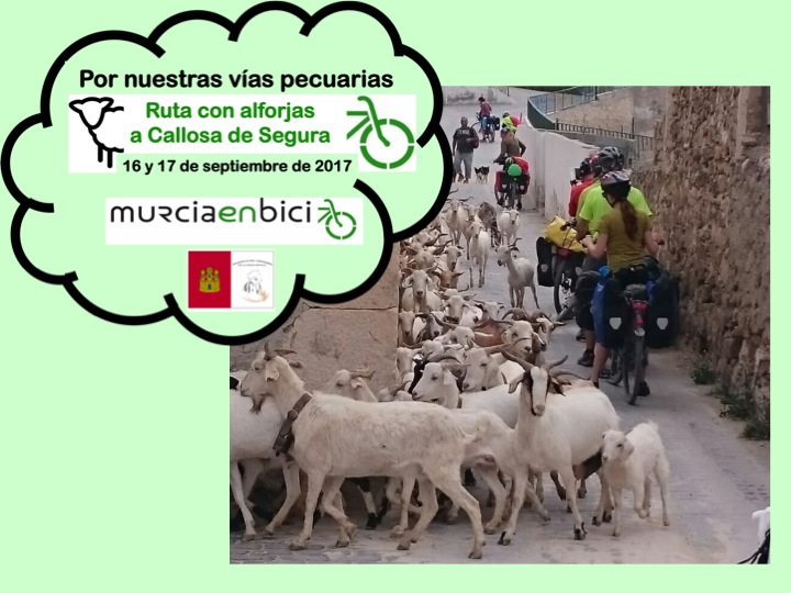 En bici a Callosa por las vías pecuarias, con Murcia en Bici