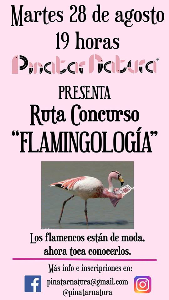 Ruta Concurso 'Flamingología', con Pinatar Natura. Ruta Concurso 'Flamingología', con Pinatar Natura