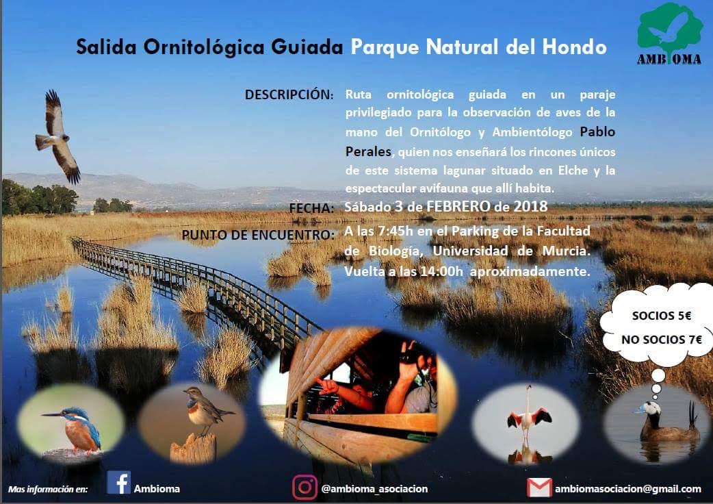 Salida ornitológica por El Hondo, con Ambioma
