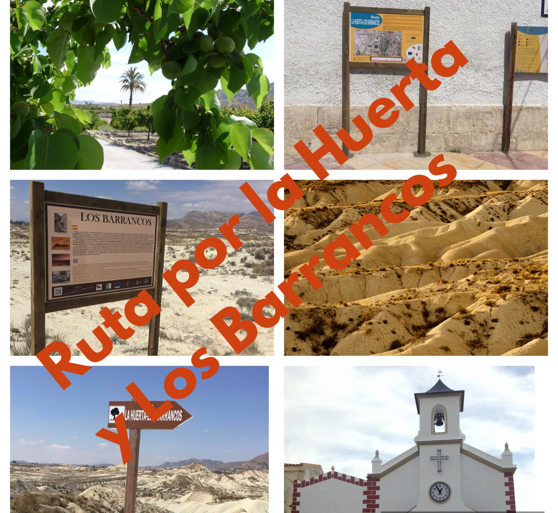 La rica huerta de Abanilla y su desierto, con la Concejalía de Medio Ambiente y la Oficina de Turismo de Abanilla
