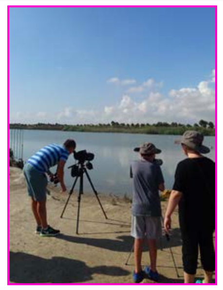 Avistamiento de aves en las salinas, con la CARM Avistamiento de aves en las salinas, con la CARM