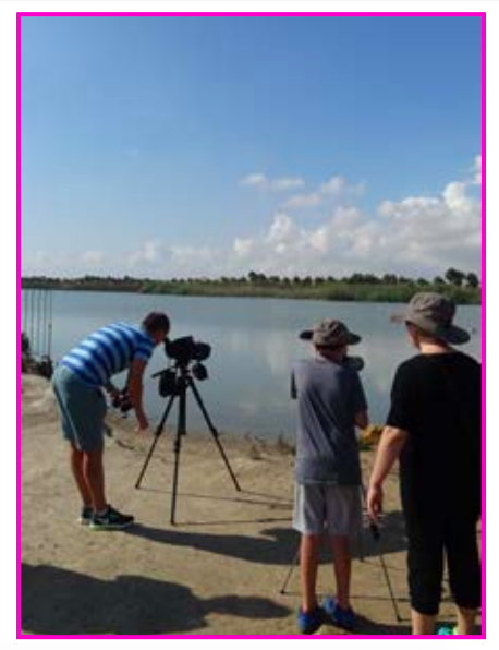 Avistamiento de aves en las salinas, con la CARM