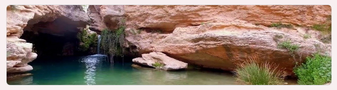 Recogida de residuos en el río Mula, con el Ayto. de Mula. Recogida de residuos en el río Mula, con el Ayto. de Mula