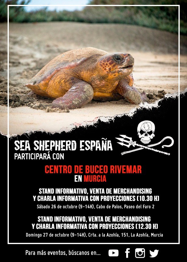Charlas en Murcia con miembros de la tripulación, con Sea Shepherd España. Charlas en Murcia con miembros de la tripulación, con Sea Shepherd España