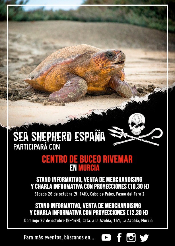 Charlas en Murcia con miembros de la tripulación, con Sea Shepherd España