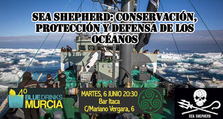 Charla sobre Sea Shepherd Global, con Blue Drinks Murcia