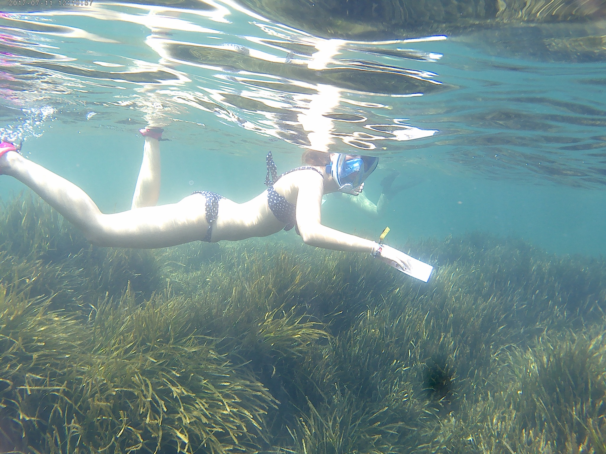 Snorkel y buceo Centinelas de la Reserva Marina de Cabo Tiñoso, con la UMU
