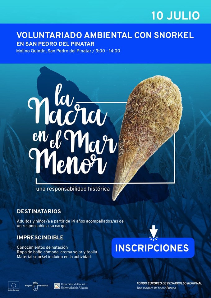 Voluntariado con snorkel para la identificación de nacras, con Columbares. Voluntariado con snorkel para la identificación de nacras, con Columbares