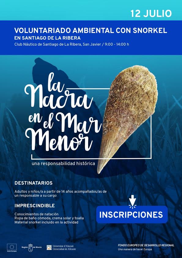 Voluntariado con snorkel para la identificación de nacras, con Columbares. Voluntariado con snorkel para la identificación de nacras, con Columbares
