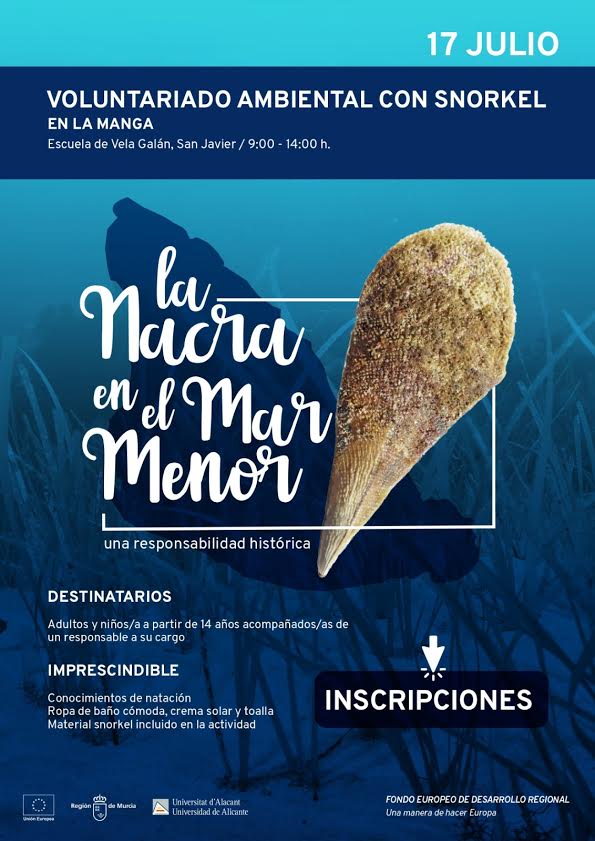 Voluntariado con snorkel para la identificación de nacras, con Columbares. Voluntariado con snorkel para la identificación de nacras, con Columbares