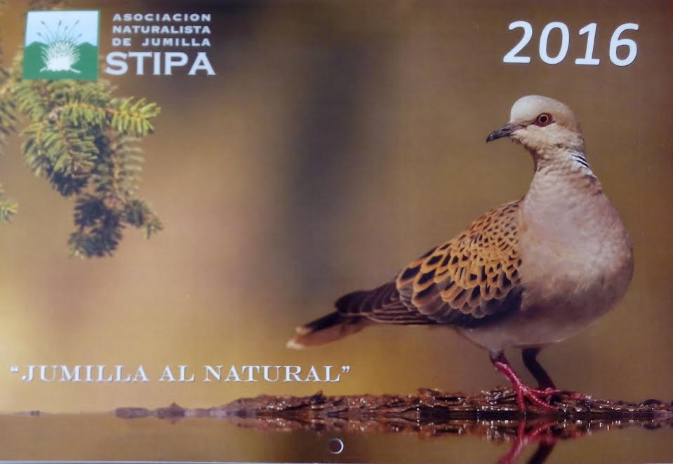 Concurso de fotografías de naturaleza de Jumilla, con Stipa. Concurso de fotografías de naturaleza de Jumilla, con Stipa