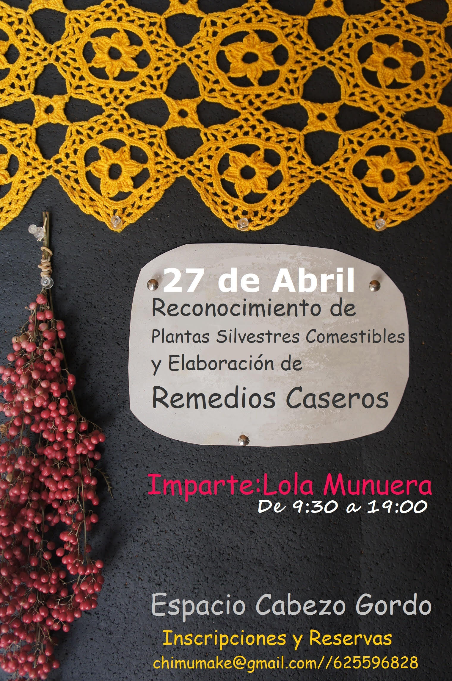 Reconocimiento de Plantas Silvestres + Remedios Caseros, con Conchi Munuera. Reconocimiento de Plantas Silvestres + Remedios Caseros, con Conchi Munuera