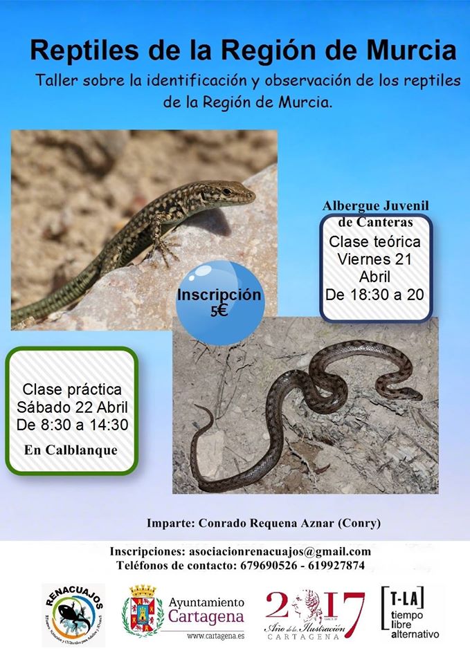 Taller de identificación de reptiles de la Región de Murcia, con la Asociación Renacuajos