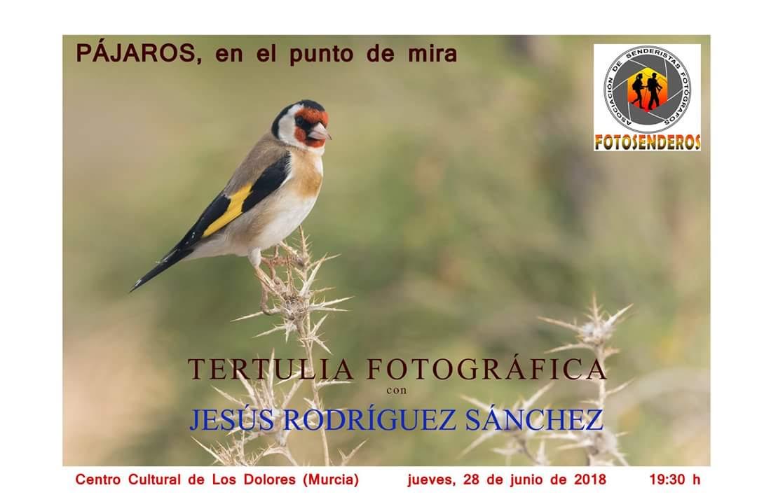Tertulia fotográfica sobre aves, con Fotosenderos