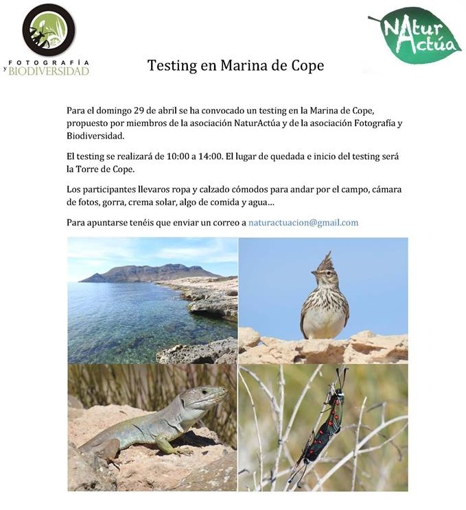 Testing de biodiversidad en Marina de Cope, con NaturActúa