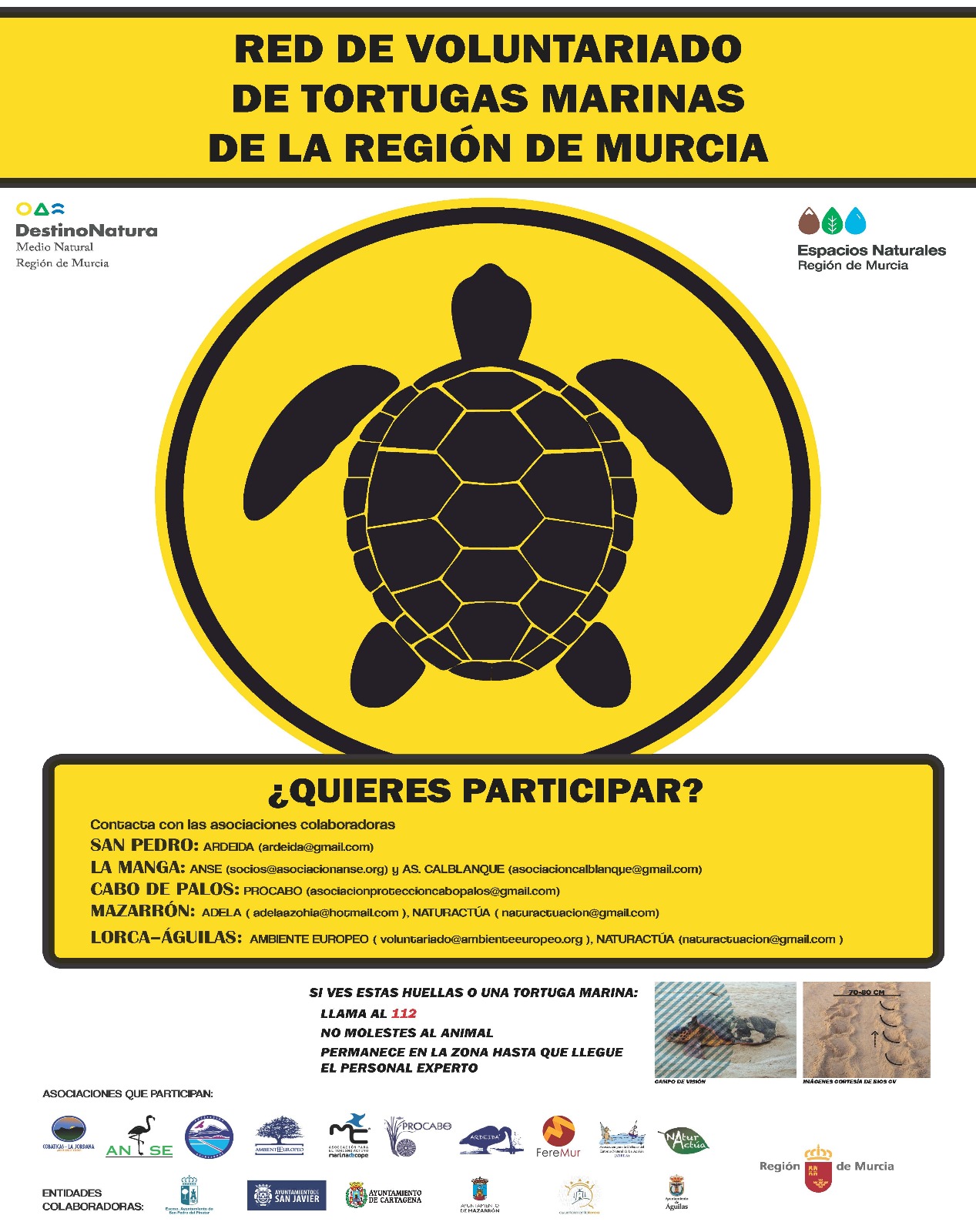 Red de Voluntariado de Tortugas Marinas de la Región Murcia, con la CARM. Red de Voluntariado de Tortugas Marinas de la Región Murcia, con la CARM