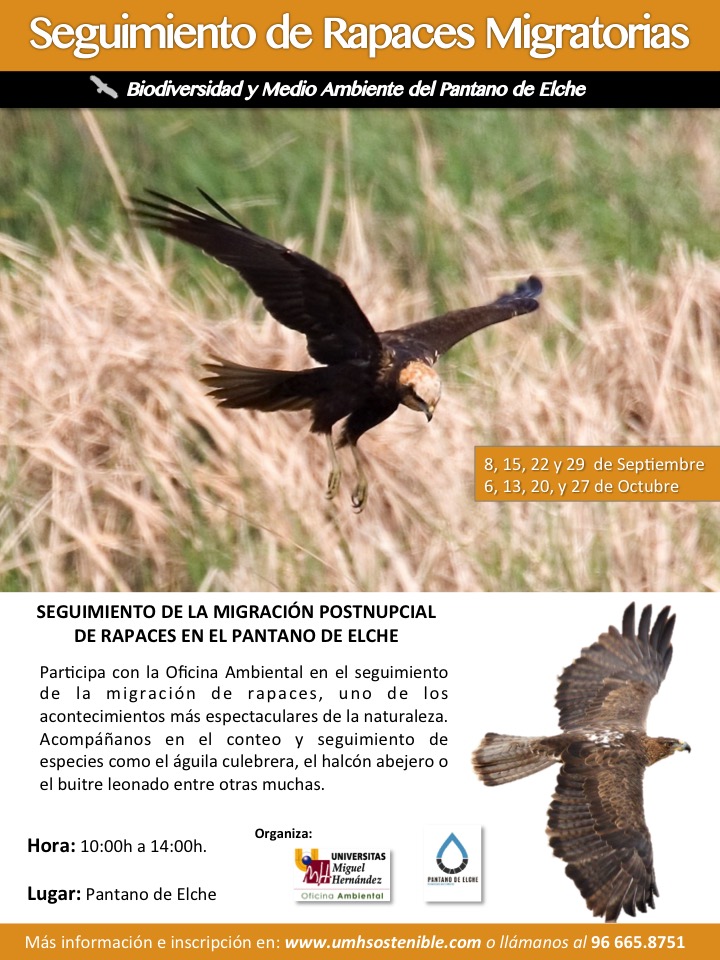 III Censo de Rapaces y otras aves migratorias  en el Pantano de Elche con la UMH